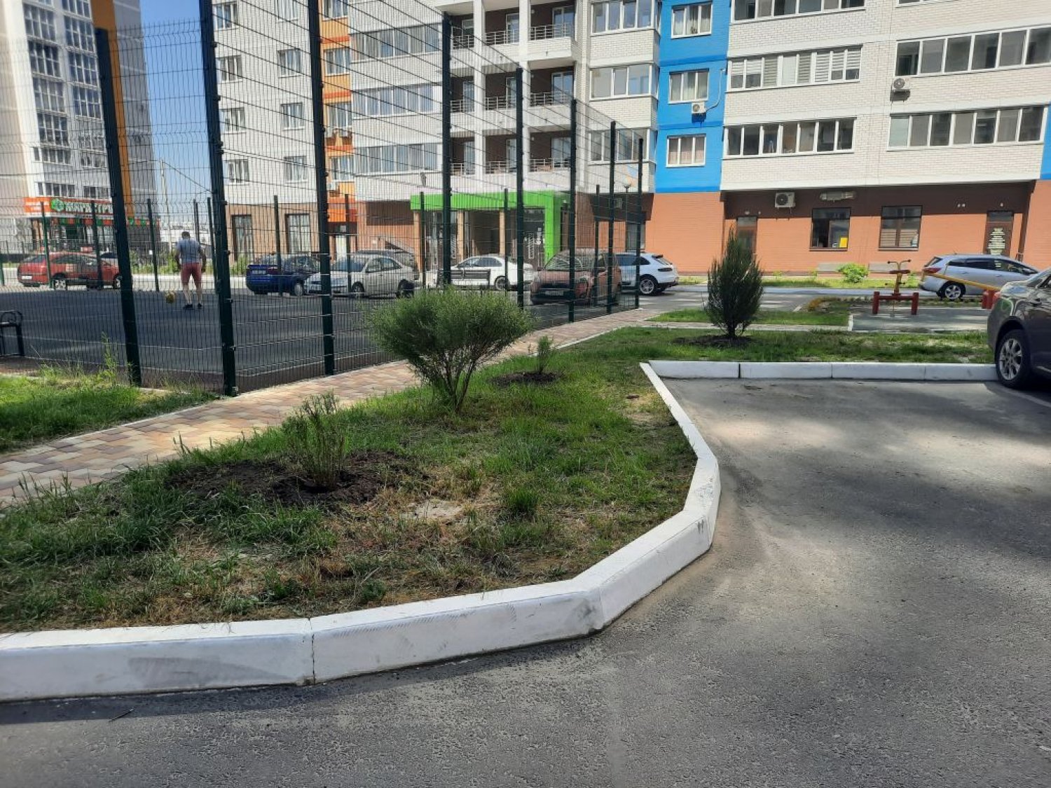 Горбатова 22.Благоустройство придомовой территории с высадкой зеленых насаждений.