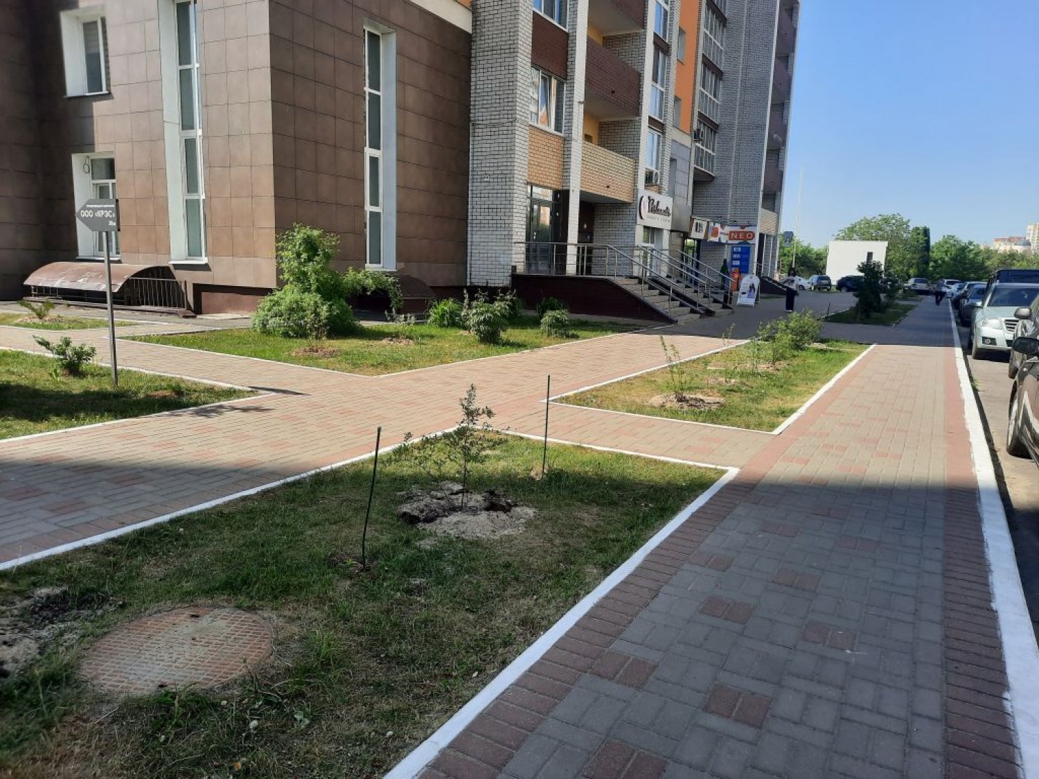 Дуки 59-11.Благоустройство придомовой территории с высадкой зеленых насаждений.