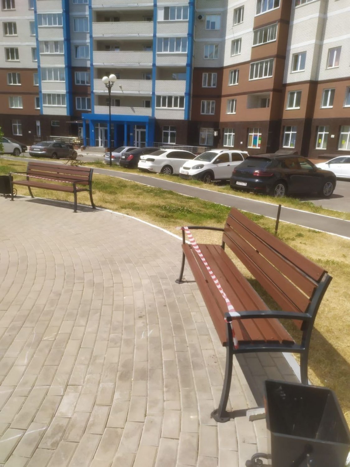 Произведена окраска лавочек. Горбатова 24