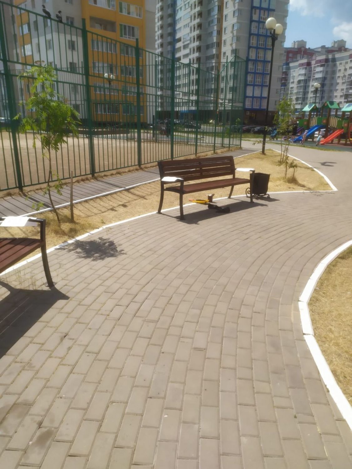 Произведена окраска лавочек. Горбатова 24