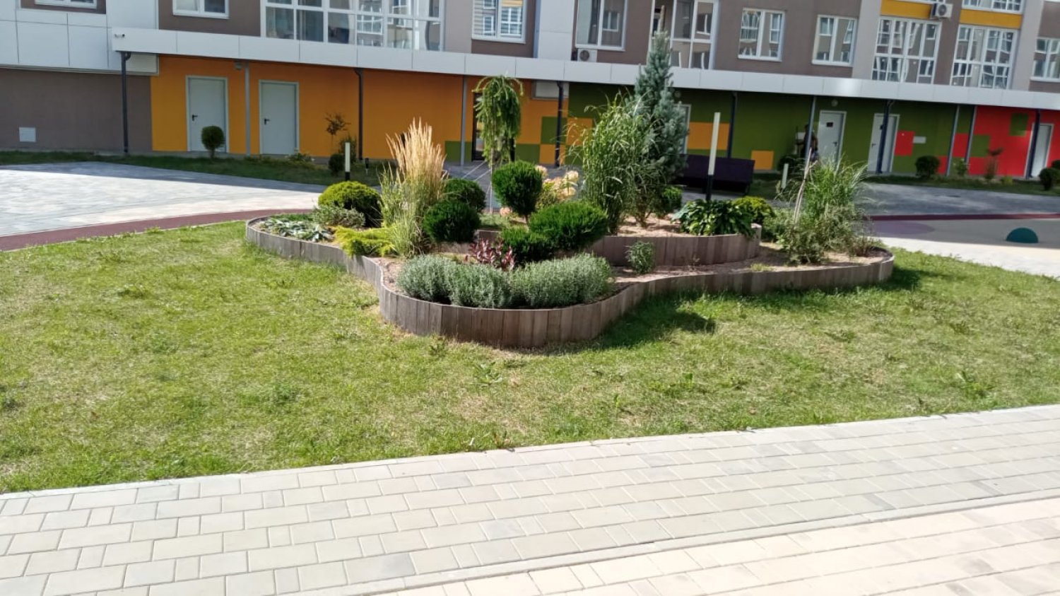 Результат после прополки Горбатова 18