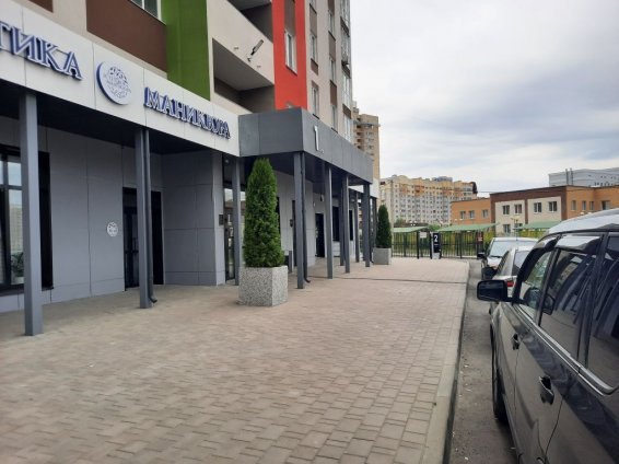 Произведена посадка туи в вазон первого подъезда. Горбатова 18