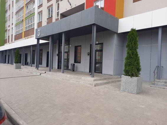 Произведена посадка туи в вазон третьего подъезда. Горбатова 18
