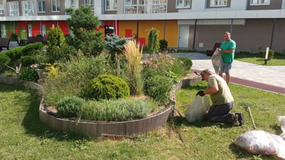 Прополка зеленой зоны Горбатова 18